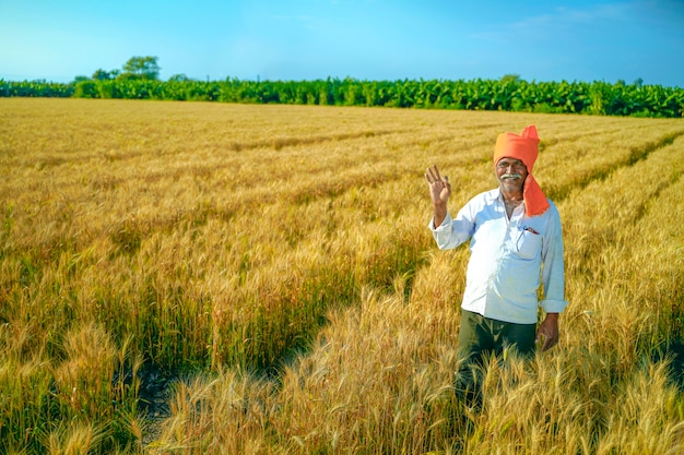 Coltivatore indiano al giacimento di grano dorato