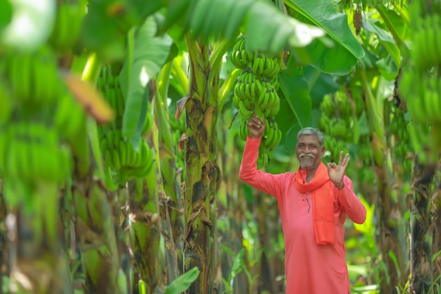 Coltivatore indiano felice che tiene in mano banano crudo