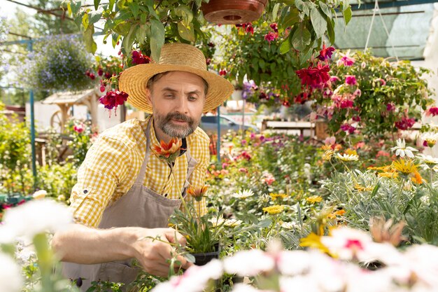 Coltivatore maturo o giardiniere in abiti da lavoro che tengono vaso con fiore mentre li seleziona per la vendita nel centro giardino