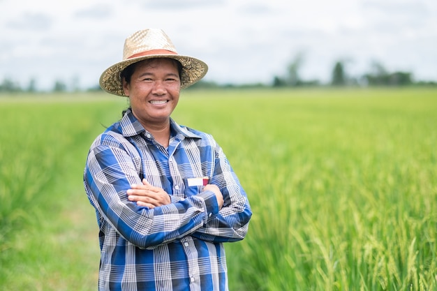 Coltivatore senior asiatico che sta all'azienda agricola del riso verde