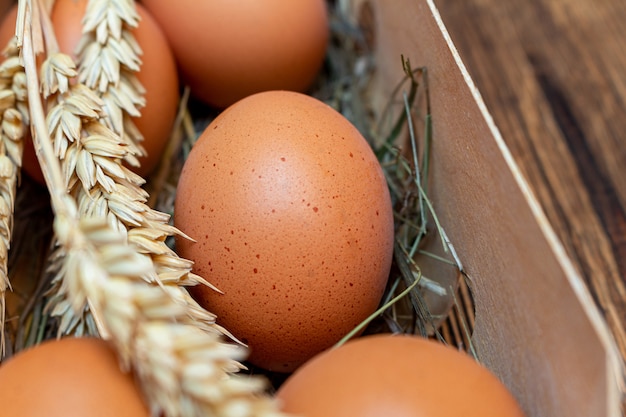 Coltivi le uova marroni con paglia nella fine di legno del fondo della scatola di corteccia di betulla su