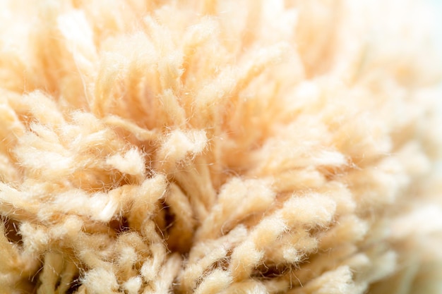 Colture di cotone grezzo, filatoio per filati, cotone macro, sfondo dalla fibra di cotone grezzo