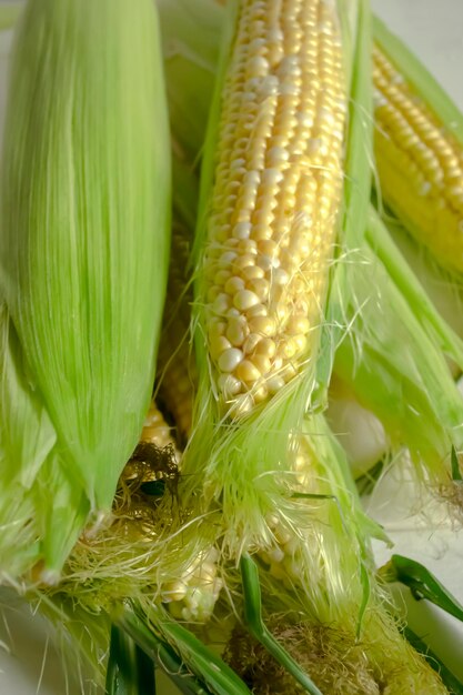 Colze di mais fresche Un sacco di mais sulla tavola Le colture estive utili sono il mais