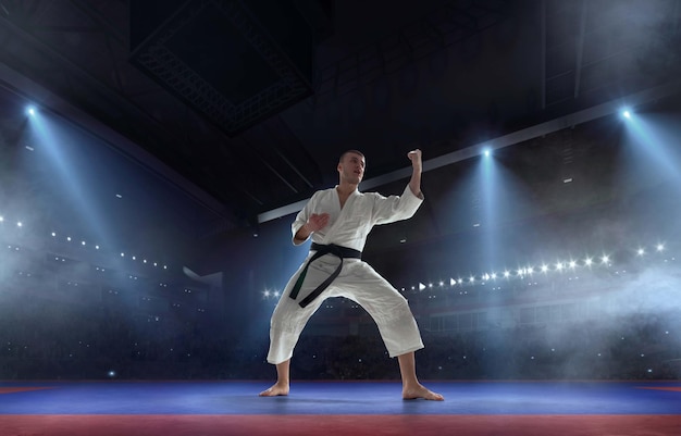 Combattenti di karate su tatami Fighting Championship