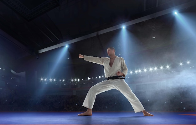 Combattenti di karate su tatami Fighting Championship