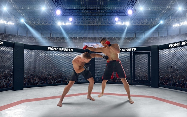 Combattenti MMA sul ring professionistico Fighting Championship