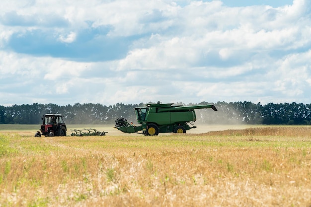 Combina la raccolta di grano in un campo estivo