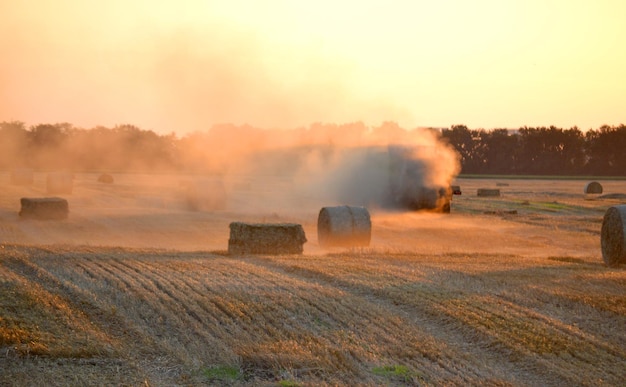 Combinare la mietitrice che preme la paglia dal campo in balle che guidano il campo in un soleggiato campo estivo serale