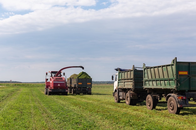 Combinare la raccolta di un campo verde