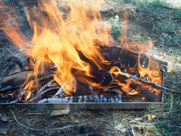 combustione del legno per la produzione di carbone organico per la griglia di carne all'aperto