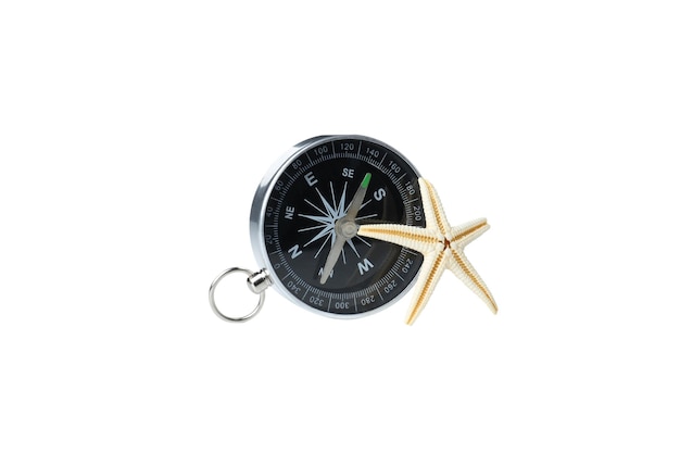 Compass PNG con stelle marine isolate su sfondo bianco