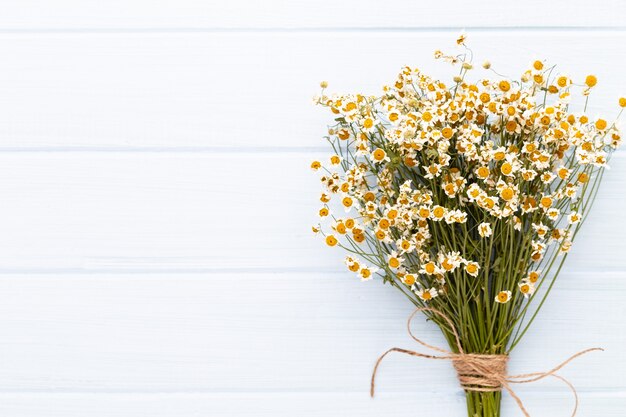 Composizione aromaterapia con cosmetici naturali e fiori di camomilla su sfondo chiaro.