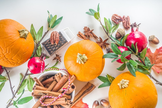 Composizione autunnale Biglietto di auguri per le vacanze del Ringraziamento Sfondo di cottura della zucca con decorazioni festive autunnali piccole zucche spezie noci pecan sfondo bianco copia spazio