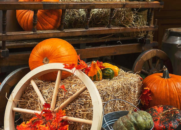 Composizione autunnale con zucche e altri elementi Harvest Thanksgiving Halloween