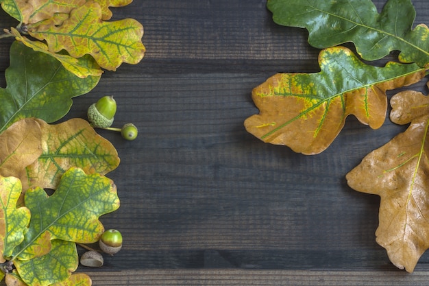 Composizione autunnale. Confine cornice di foglie colorate d'autunnali su un legno scuro