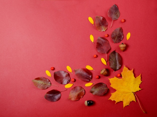 Composizione autunnale creativo. Ramo di un albero e foglie gialle su uno sfondo rosso.