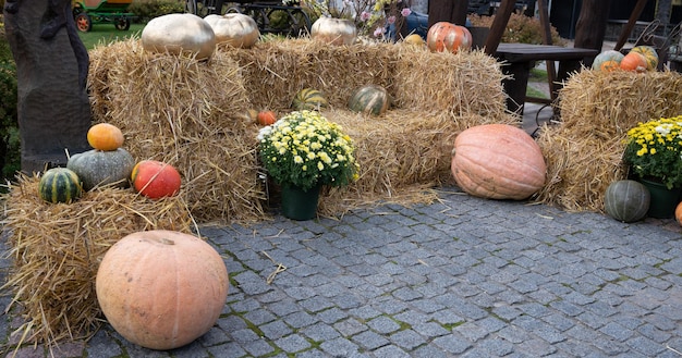 Composizione autunnale di diverse zucche e balle di paglia. Ringraziamento e festa di Halloween. Concetto di fotozona.