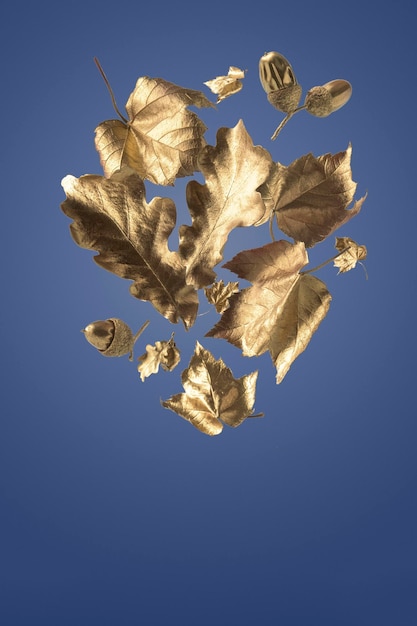 Composizione autunnale di foglie dorate su sfondo blu scuro con uno spazio di copia