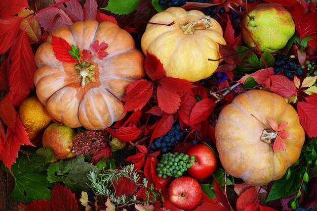 composizione autunnale di mele zucca di uva e belle foglie