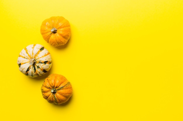 Composizione autunnale di piccole zucche arancioni su sfondo colorato tavolo Autunno Halloween e concetto di ringraziamento Fotografia piatta autunnale Vista dall'alto con spazio di copia