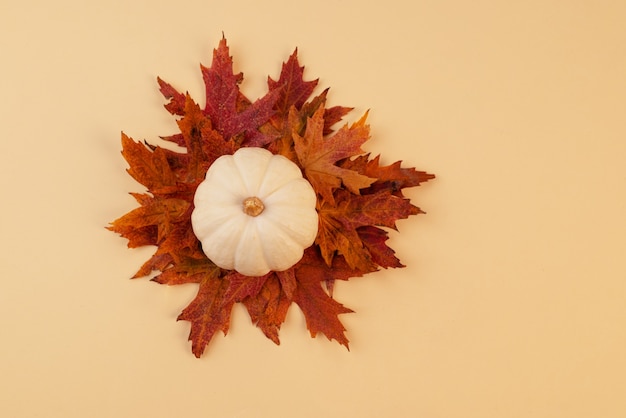 Composizione autunnale di zucca e foglie gialle su fondo beige Vista dall'alto