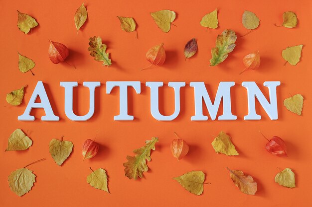 Composizione autunnale. Esprima l&#39;autunno dalle lettere bianche e dall&#39;erbario luminoso delle foglie di autunno