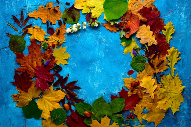 Composizione autunnale. Ghirlanda di foglie cadute verdi, gialle, arancioni e rosse in un cerchio su uno sfondo turchese. Autunno, caduta delle foglie ,. Posizione piatta, vista dall'alto, copia dello spazio