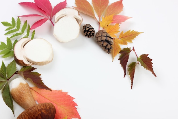 Composizione autunnale Ghirlanda fatta di funghi autunnali e foglie colorate su sfondo bianco