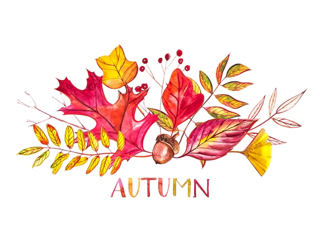 Composizione autunnale. Illustrazioni fatte di bacche e foglie d'autunno. Illustrazioni ad acquerelli.