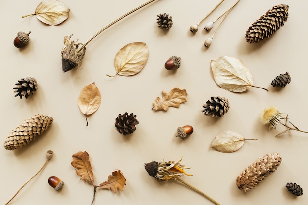 Composizione autunnale. Modello fatto di ghianda, cono, foglie secche, fiori secchi su sfondo pastello. Autunno, concetto di caduta. Lay piatto, vista dall'alto, copia spazio.