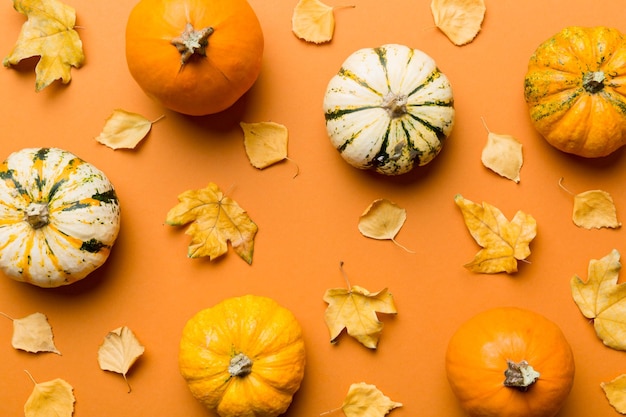 Composizione autunnale Motivo fatto di foglie essiccate e altri accessori di design sul tavolo Vista dall'alto piatto