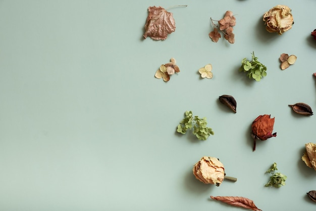 Composizione autunnale piatta con motivo di fiori di ortensie essiccate rose e petali su sfondo verde pastello Spazio per la copia della vista dall'alto