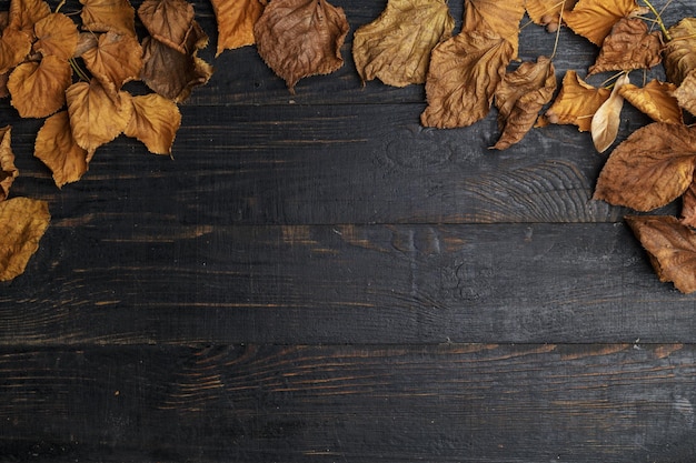 Composizione autunnale su un tavolo di legno scuro Vista dall'alto Spazio per il testo