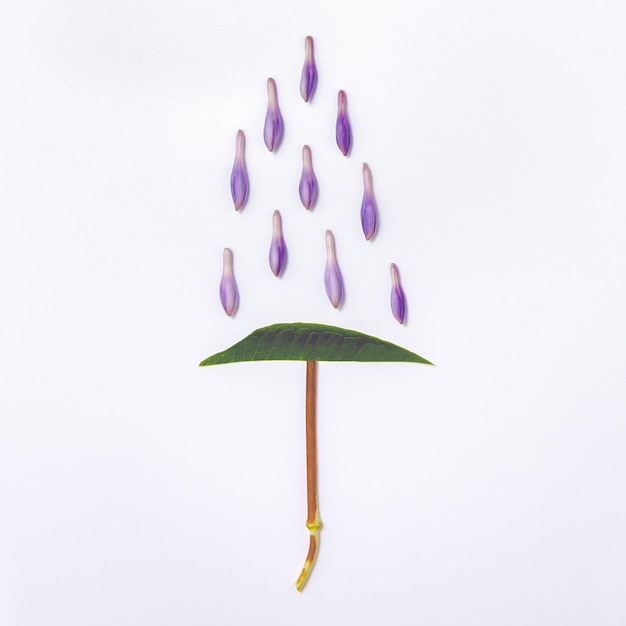Composizione che imita un ombrello e la pioggia in una disposizione piatta