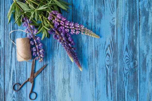 Composizione con fiori bouquet di lupini blu, vecchie forbici rustiche