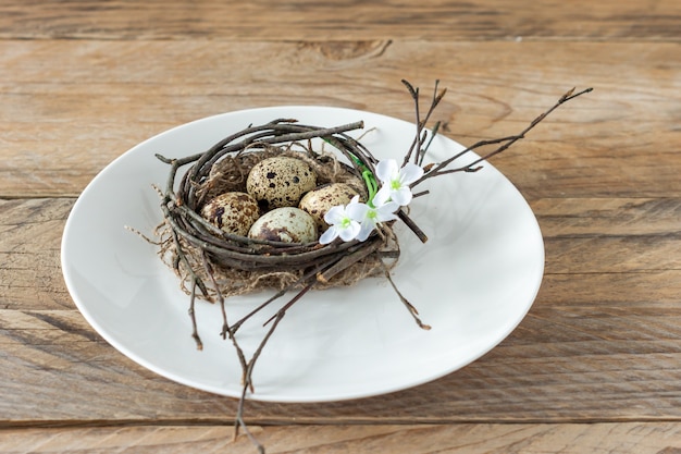 Composizione con nido di ramoscello e uova di quaglia su un piatto. Vacanze di Pasqua in stile rustico.