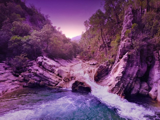 Composizione con paesaggio naturale e colori lavanda