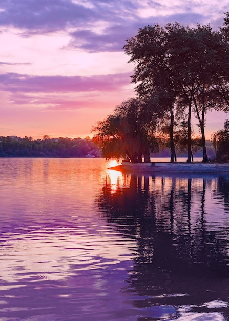 Composizione con paesaggio naturale e colori lavanda