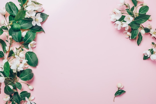 Composizione creativa con melo in fiore su uno sfondo rosa piatto concetto laici primavera minimalismo