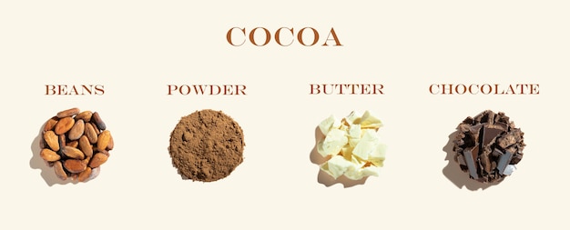 Composizione creativa con prodotti di cacao biologici sani fave di cacao e cacao in polvere su avorio