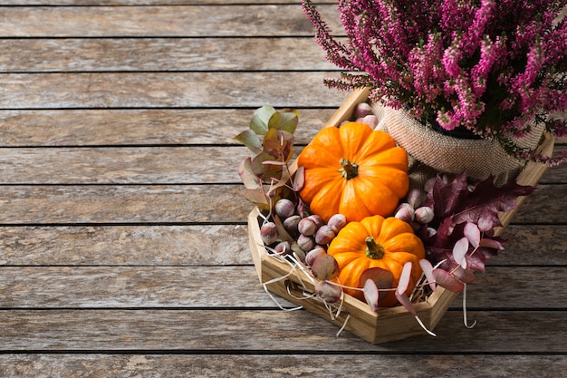 Composizione creativa del giorno del ringraziamento autunnale autunnale con zucche arancioni decorative ed erica viola. Lay piatto, vista dall'alto, copia spazio, sfondo in legno di natura morta. Concetto floreale e botanico.