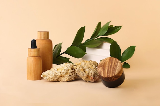 Composizione da contenitori per cosmetici ecologici realizzati con pietre di legno naturali e foglie verdi