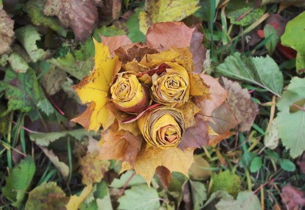 Composizione decorativa autunnale con foglie d'acero gialle