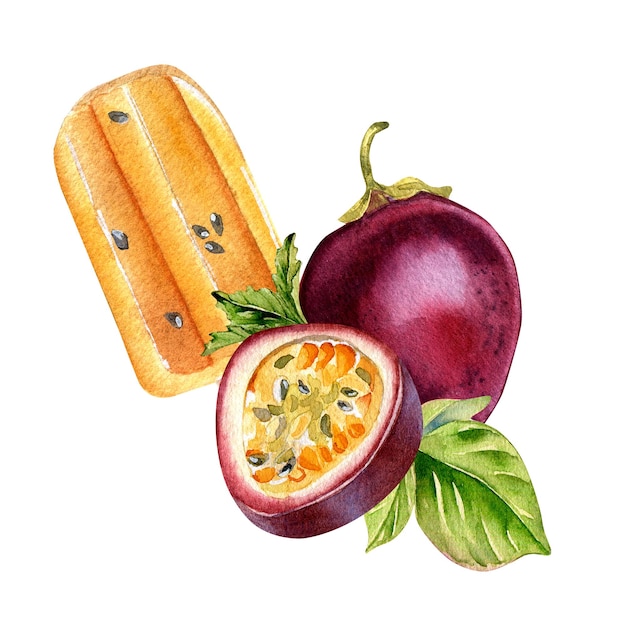 Composizione dell'illustrazione dell'acquerello del gelato al frutto della passione isolata su bianco
