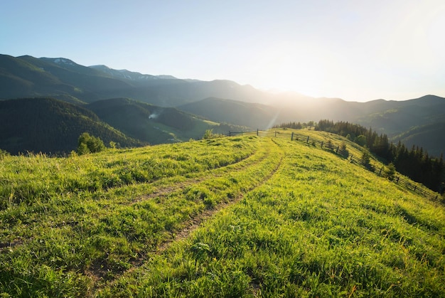 Composizione della natura