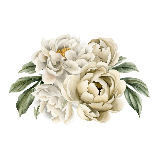 Composizione di boccioli di fiori di peonia beige bianca e foglie illustrazione ad acquerello isolato su bianco