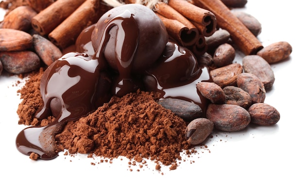 Composizione di dolci al cioccolato cacao e spezie isolate su bianco