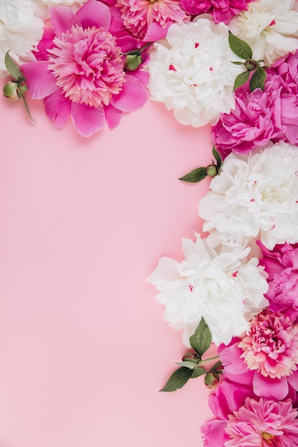 Composizione di fiori Bordo fatto di fiori di peonia rosa e bianchi su sfondo pastello Disposizione piatta Vista dall'alto con spazio per la copia