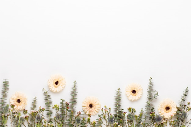 Composizione di fiori. Cornice fatta di gerbera pastello su bianco.