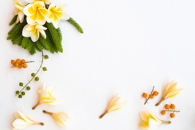 composizione di fiori di frangipani in stile cartolina